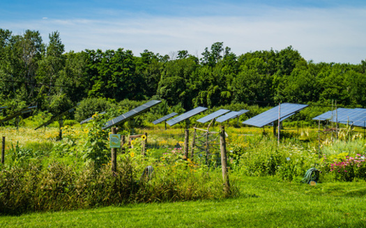 Cumulative community solar capacity has grown by about 121% year over year since 2010, more than doubling in capacity on average, according to research from the National Renewable Energy Laboratory. (Adobe Stock)<br />