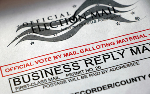 In Ward 1, Democratic Council Member Lane Santa Cruz is running against a fellow Democrat, challenger Miguel Ortega. In Ward 2, Council Member Paul Cunningham is up against Lisa Nutt; both are Democrats. (Adobe Stock)