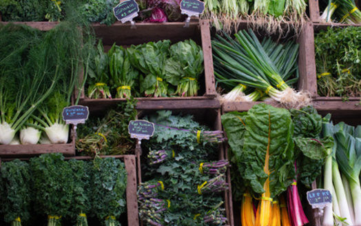 There are more than 130 farmers markets across Oregon. (Tamela/Adobe Stock)