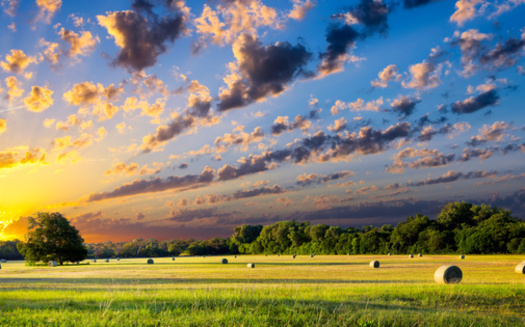 According to the National Agricultural Law Center, more than a dozen states have taken to steps to restrict or prohibit foreign entities from buying U.S. farmland. (Adobe Stock)