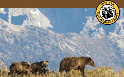 As grizzly bear populations continue to expand across Montana, the Department of Fish, Wildlife and Parks is engaging local communities within likely grizzly range to share information on bear safety as part of its 
