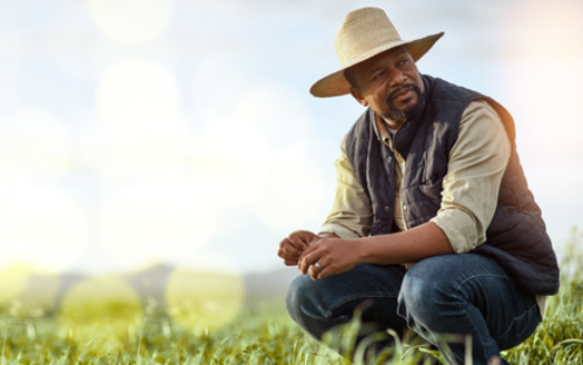 A recent American Farmland Trust survey revealed that over 50% of farmers surveyed sought conservation education from another farmer, versus 20% who looked for help from the federal Natural Resources Conservation Service. (Adobe Stock) <br />