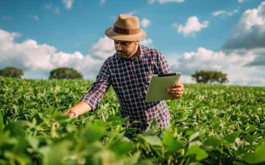 Agriculture in Mississippi is a $9.72 billion industry. There are approximately 34,700 farms in the state, covering 10.4 million acres. (Brastock Images/AdobeStock)