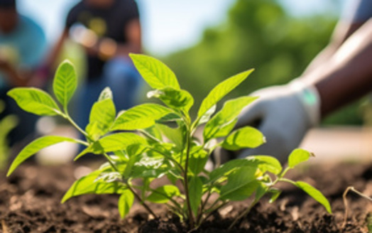 The Greening America's Cities initiative will award $400 million primarily to community environmental justice organizations through 2030. (Adobe Stock)
