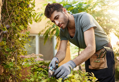 Students at New Mexico State University and three other Hispanic-serving institutions are benefiting from a federal grant designed to increase the placement of Hispanic graduates at the U.S. Department of Agriculture. (CookieStudio/AdobeStock)