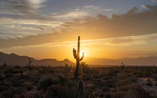 Arizona is opening one cooling center and one cooling stop in the Government Mall. The first will be located at 1818 W. Adams St, the second is a portable, cooled shipping container at 1801 W. Madison St. (Ray Redstone/Adobe Stock)