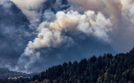 Massive Canadian wildfires, which began in May, have since sent much of the eastern United States indoors because of air-quality advisories. (Adobe Stock)