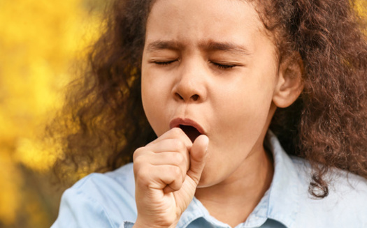 Los síntomas del asma son similares a los de la bronquiolitis, una afección más común, y tomar medicamentos diseñados sólo para el asma puede ser riesgoso. (Adobe Stock)