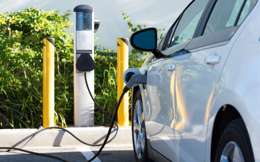 The share of electric cars in total sales has more than tripled in three years, from around 4% in 2020 to 14% in 2022, according to IEA. (Adobe Stock)<br />