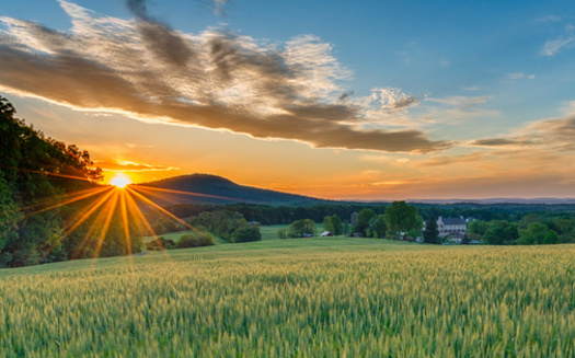 The Maryland Agricultural Land Preservation Program was established in 1977. (Xavier Ascanio/Adobe Stock)