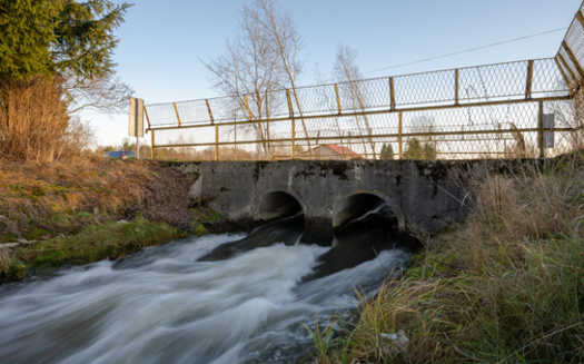 Culverts under roadways need to be large enough for fish to pass through safely. (Daniel Sztork/Adobe Stock)