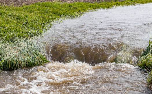 Environmental groups note that runoff from factory farms can result in nitrate pollution in nearby rivers and streams. (Adobe Stock)