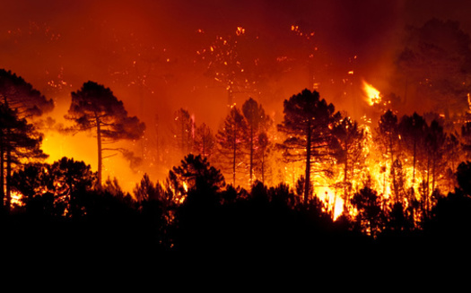 Wildfire smoke is not only a mixture of hazardous air pollutants, but these fires also release large quantities of carbon dioxide and other greenhouse gases into the atmosphere. (Adobe Stock) 