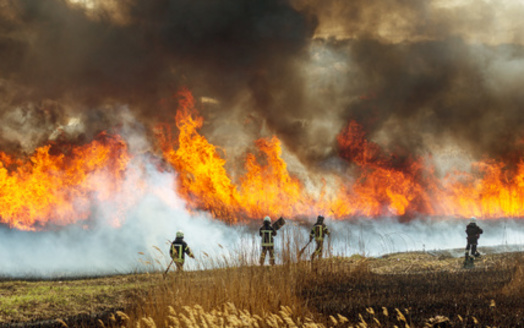 Wildfire smoke is not only a mixture of hazardous air pollutants, but these fires also release large quantities of carbon dioxide and other greenhouse gases into the atmosphere. (Aleksandr Lesik/Adobe Stock) 