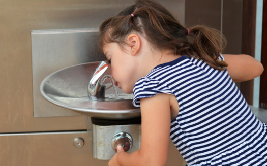 Health and environmental experts say even just low-level exposure to lead in drinking water can negatively affect a child's development. (Adobe Stock)