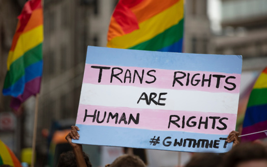 In 2023, 566 anti-trans bills have been introduced in 49 states including 65 in Texas, according to Trans Legislation Tracker. (inkdrop/AdobeStock)