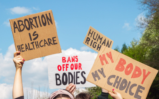 More than 22 states have imposed bans or restrictions on abortion, with Idaho enacting a law prohibiting the transport of minors across state lines for abortion care. (Adobe Stock) 
