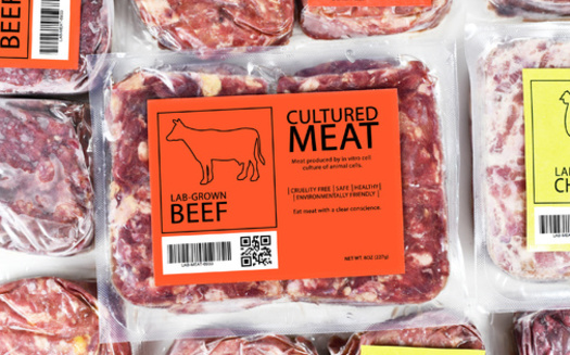 Beef consumption in the United States reached a new high in 2021, when 30 billion pounds were consumed. It's an increase of about 8.7% compared to the previous year, according to Statista. (Adobe Stock)