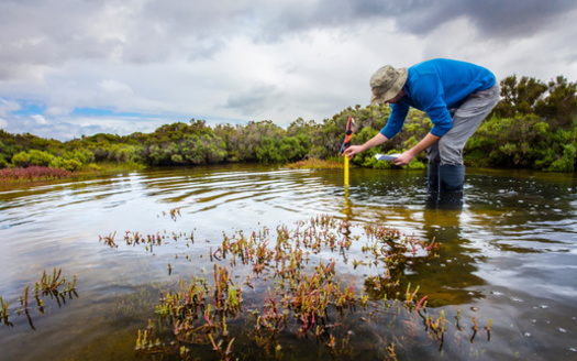 A 2022 Audubon Society poll found 92% of Hoosiers surveyed said "issues involving protecting fish and wildlife habitat, lakes, rivers, streams, and wetlands" are important priorities to them. (Adobe Stock)