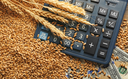 Policy analysts said the Farm Bill is generally a bipartisan issue, but reauthorization can get held up by spending disputes over certain programs, especially the Supplemental Nutritional Assistance Program. (Adobe Stock)