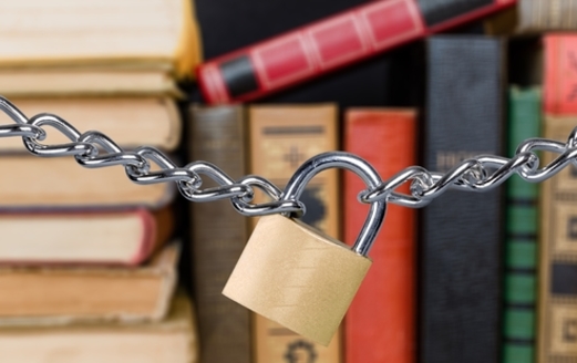 Many librarians are concerned that groups pushing them to pull certain titles from their shelves are promoting authoritarianism rather than democracy. (Adobe Stock)
