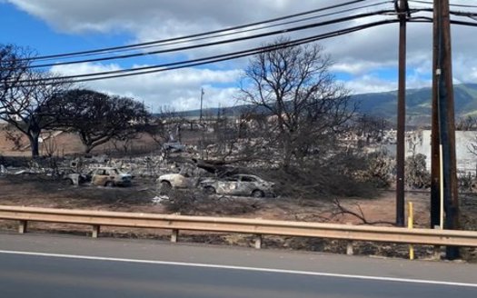 Damage seen on Maui after catastrophic, wind-driven fires swept through the area. (Brea Burkholz/Direct Relief)