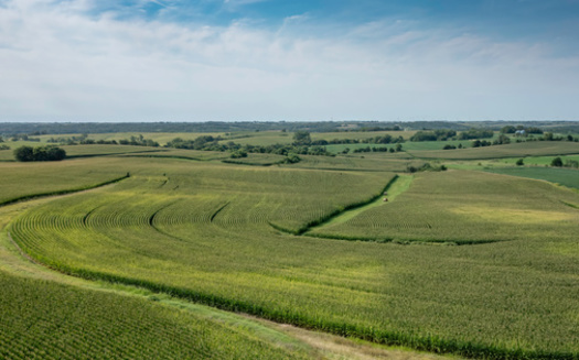 Iowa has more than 30 million acres of farmed land, and boasts the nation's highest production of corn, soybeans, pork and eggs, according to Iowa Farm Facts. (Adobe Stock)