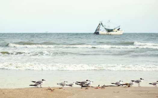 The state established a 1-mile buffer zone off Elmers Island and Grand Terre Island, and a 3-mile buffer off of Grand Isle. (Adobe Stock)