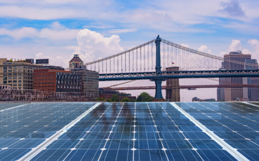 A 2019 law in New York City requires new buildings, new roofs from building enlargement and replacement of an existing building's roof requires installation of a 
