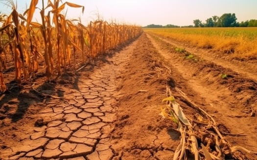 Droughts can cause drinking water shortages and negatively impact crop production, so researchers want to help agricultural producers better plan for how they'll prepare for them. (Adobe Stock)<br />