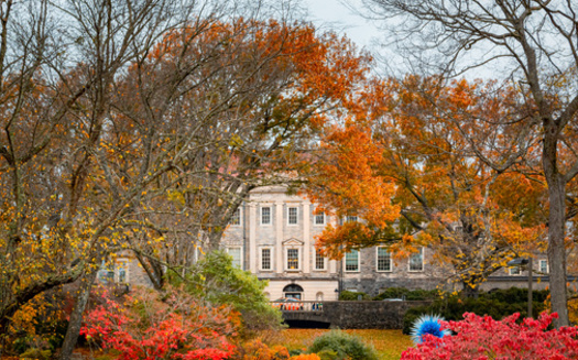 Tennesseans will see peak colors for fall foliage across the state through Oct. 28, according to the Farmer's Almanac 2023. (Jacki/AdobeStock) <br /><br /><br />