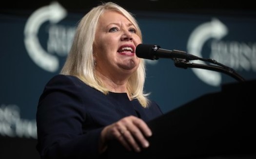 Rep. Debbie Lesko becomes the 16th current member to announce they will retire or seek another office next year. (Gage Skidmore / Wikimedia Commons) 