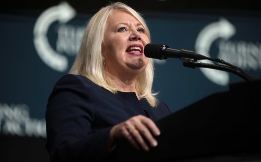 La representante Debbie Lesko se convierte en el decimosexto miembro actual en anunciar que se jubilar o buscar otro cargo el prximo ao. (Gage Skidmore/Wikimedia Commons)
