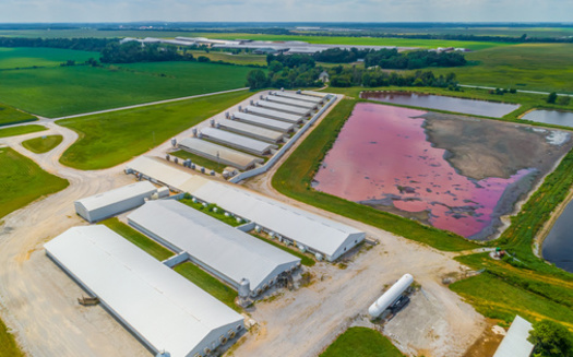 About 345,000 hogs and pigs live on Wisconsin farms, according to the latest USDA National Agricultural Statistics Service - Hogs and Pigs report. (Adobe Stock) 