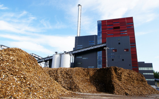 According to the U.S. Energy Information Administration, Georgia ranks second in the nation, after North Carolina, in densified biomass fuel manufacturing capacity. (Andrei Merkulov/Adobe Stock)