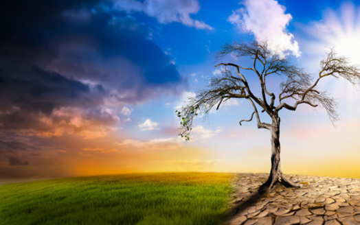 According to the Indiana Climate Change Impact Assessments from Purdue University, Hoosiers could see temperatures rise by up to about 6 degrees Fahrenheit by 2050. (Adobe Stock)