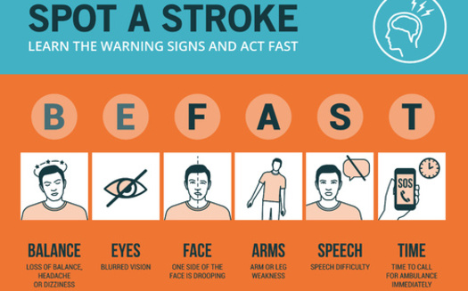 Stroke is ranked as the second-leading cause of death worldwide, with an annual mortality rate of about 5.5 million people. (elenabsl/Adobe Stock)