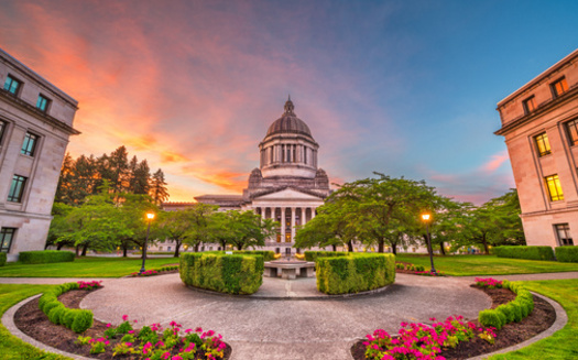 Washington state lawmakers voted to remove advisory votes, which have been on ballots since 2012. (SeanPavonePhoto/Adobe Stock)