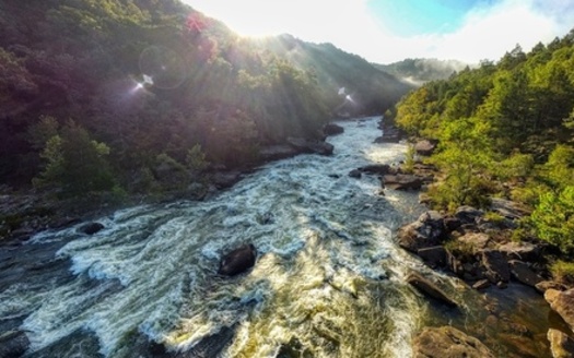 Streams play a critical role in carrying sediments, nutrients and other materials into rivers and lakes and on to the ocean, according to the Smithsonian Environmental Research Center. (Adobe Stock) <br />