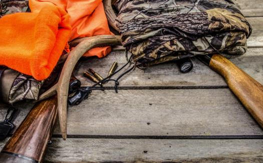 One of North Dakota's more popular hunting seasons, the firearm deer season, runs for roughly two weeks each November. (Adobe Stock)