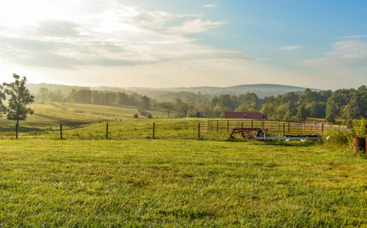 Farmers and ranchers steward about 44% of the United States' landmass. (ZoranZeremski/Adobe Stock)