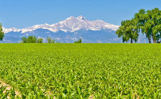 Farms are in a unique position to slow global warming by reducing methane emissions, which are more than 80 times more potent at trapping heat in the atmosphere than CO2. (Adobe Stock)