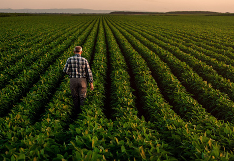 Farmers and ranchers steward about 44% of the United States' landmass. (ZoranZeremski/Adobe Stock)