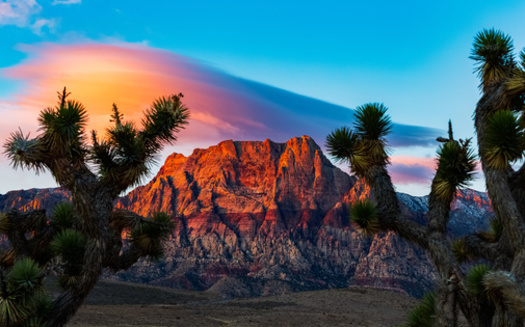 The Nevada Division of Outdoor Recreation will announce grant awards for youths in early December which will aim to increase environmental literacy, foster stewardship of natural resources, and promote physical health in the outdoors. (Adobe Stock) 