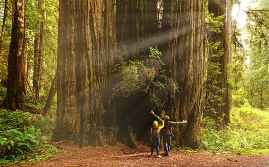 Research shows people who live near parks or natural spaces have lower rates of disease and higher rates of social cohesion. (Yaya Ernst/Adobestock)