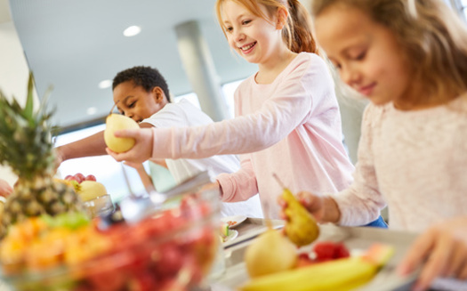 Organizaciones comunitarias solicitaron subsidies de entre $5,000 y $20,000 dlares para apoyar y promover activamente a escala local el programa Comidas Escolares Sanas para Todos. (Adobe Stock)