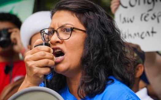 Rashida Tlaib is the only Palestinian American and just one of two Muslim Women in Congress. (SuperBasementBoy/flickr.com)