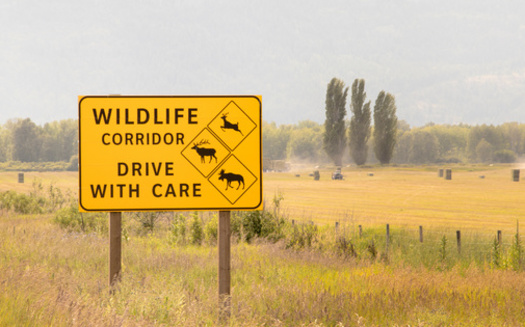 Mapping is important part of conserving wildlife corridors. (iploydoy/Adobe Stock)
