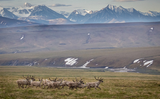 Alaska's Brooks Range is home to critical caribou habitat that covers about 157,000 square miles, which is equal in size to the state of Montana. (Adobe Stock)