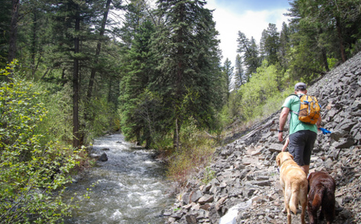 Montana is home to more than 30 million acres of public state and federal lands, nearly one-third of the state. (Adobe Stock)